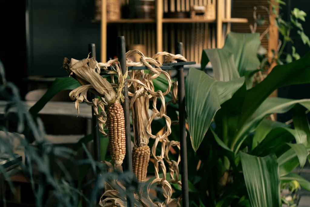 Ambiente de restaurante gastronómico, fotografía de espacio, Jose Fonseca Medellín