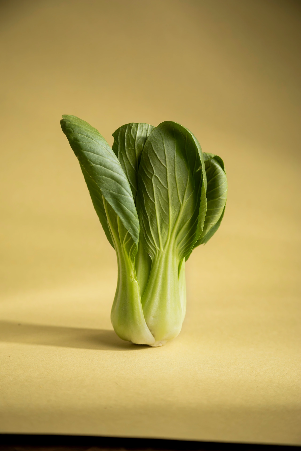 Fotografía gastronómica de bok choy entero sobre fondo amarillo pálido con sombra lateral natural — Jose Fonseca Medellín