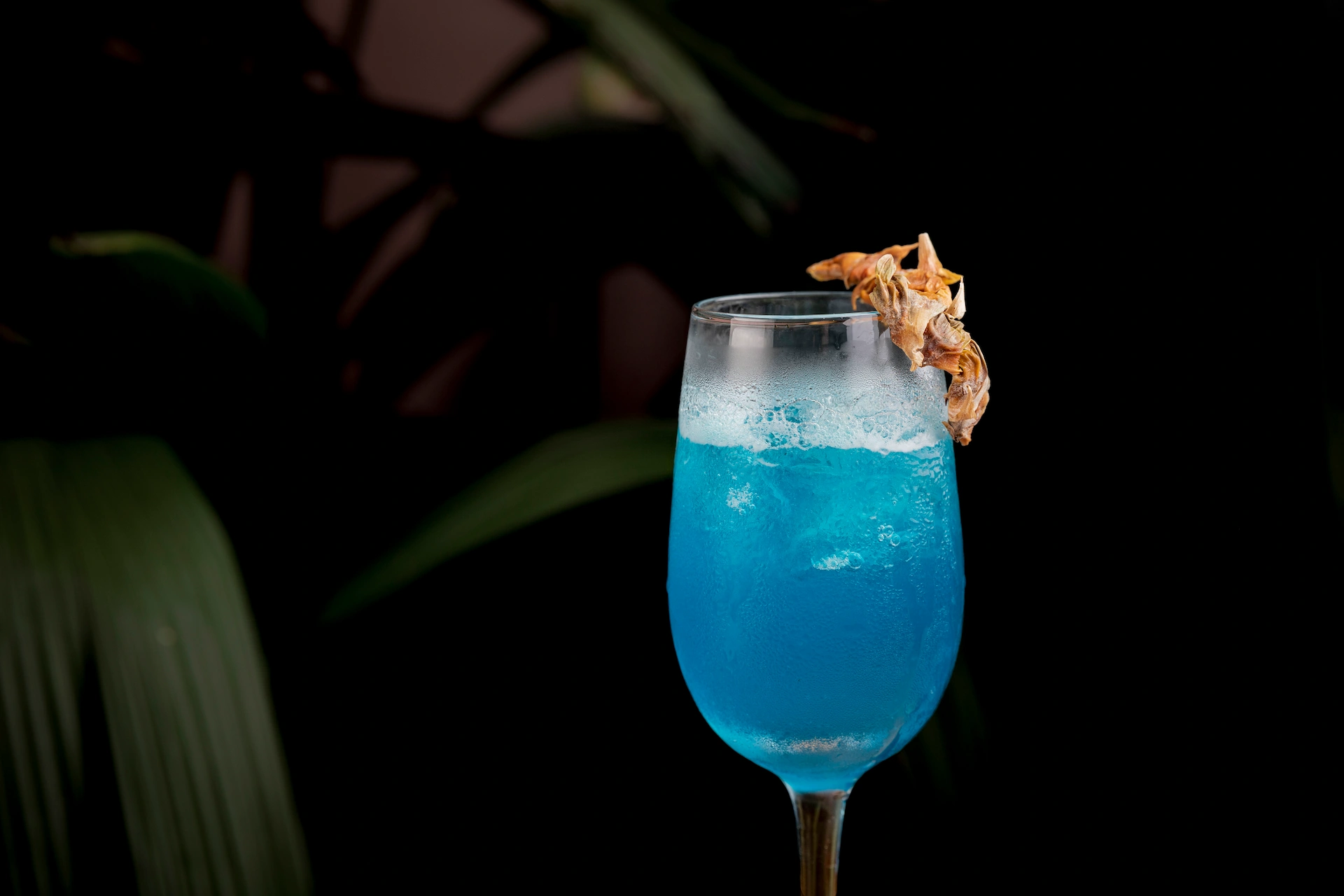 Fotografía gastronómica de cóctel azul intenso con flor seca en copa, fondo oscuro con hojas — Jose Fonseca Medellín