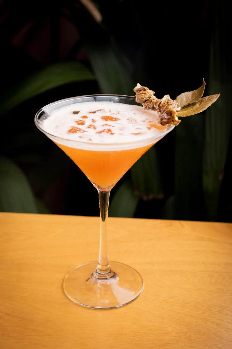 Fotografía gastronómica de cóctel naranja con espuma blanca y garnish vegetal seco en copa martini — Jose Fonseca Medellín