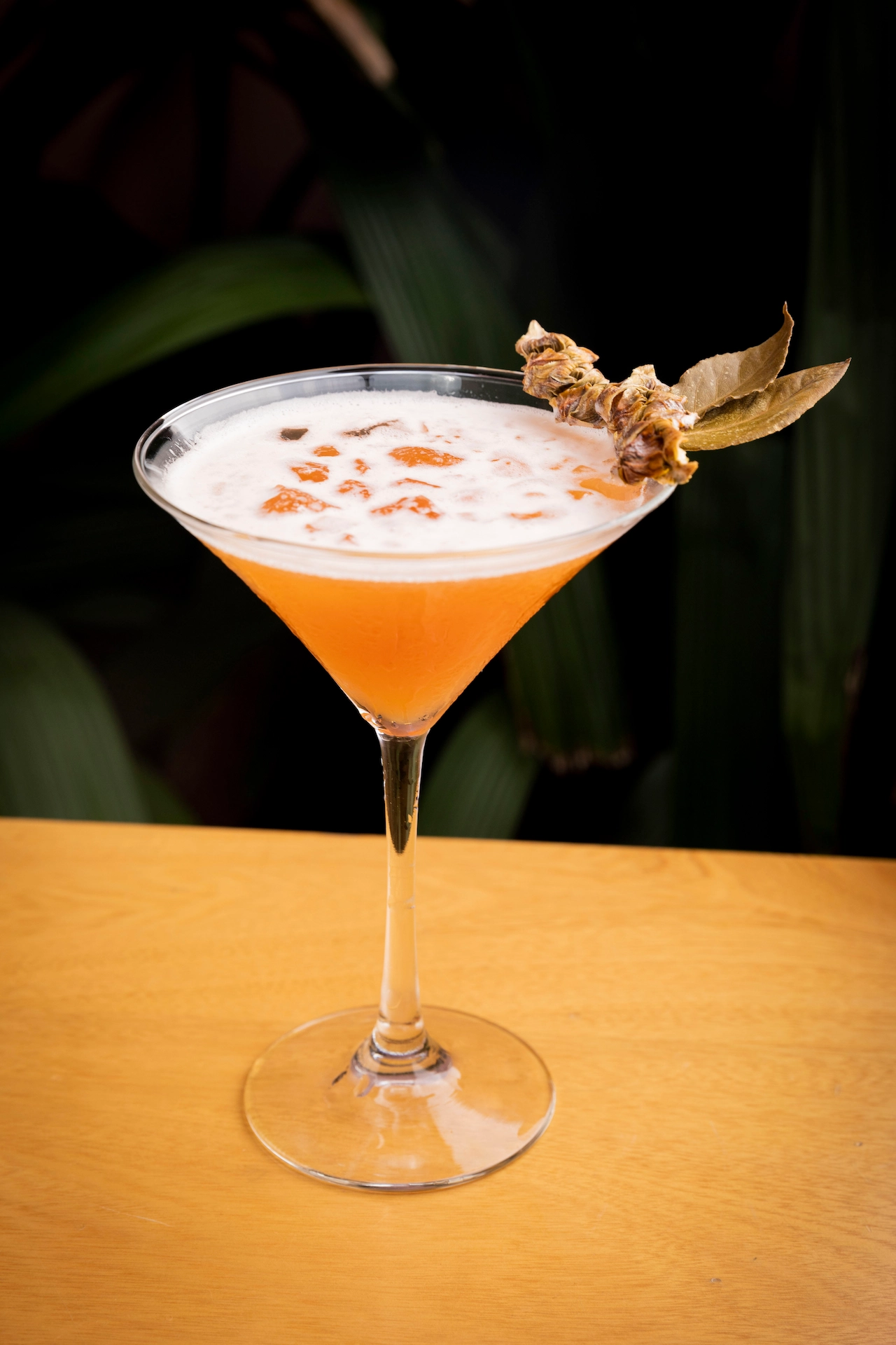 Fotografía gastronómica de cóctel naranja con espuma blanca y garnish vegetal seco en copa martini — Jose Fonseca Medellín