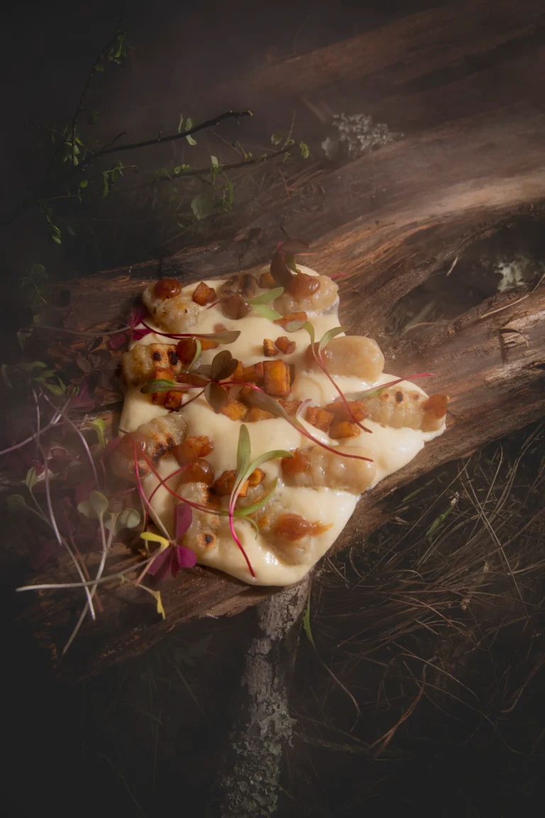 Fotografía gastronómica de gnocchi con salsa cremosa y microgreens del El Cielo Restaurant, único restaurante colombiano con estrella Michelin — Medellín