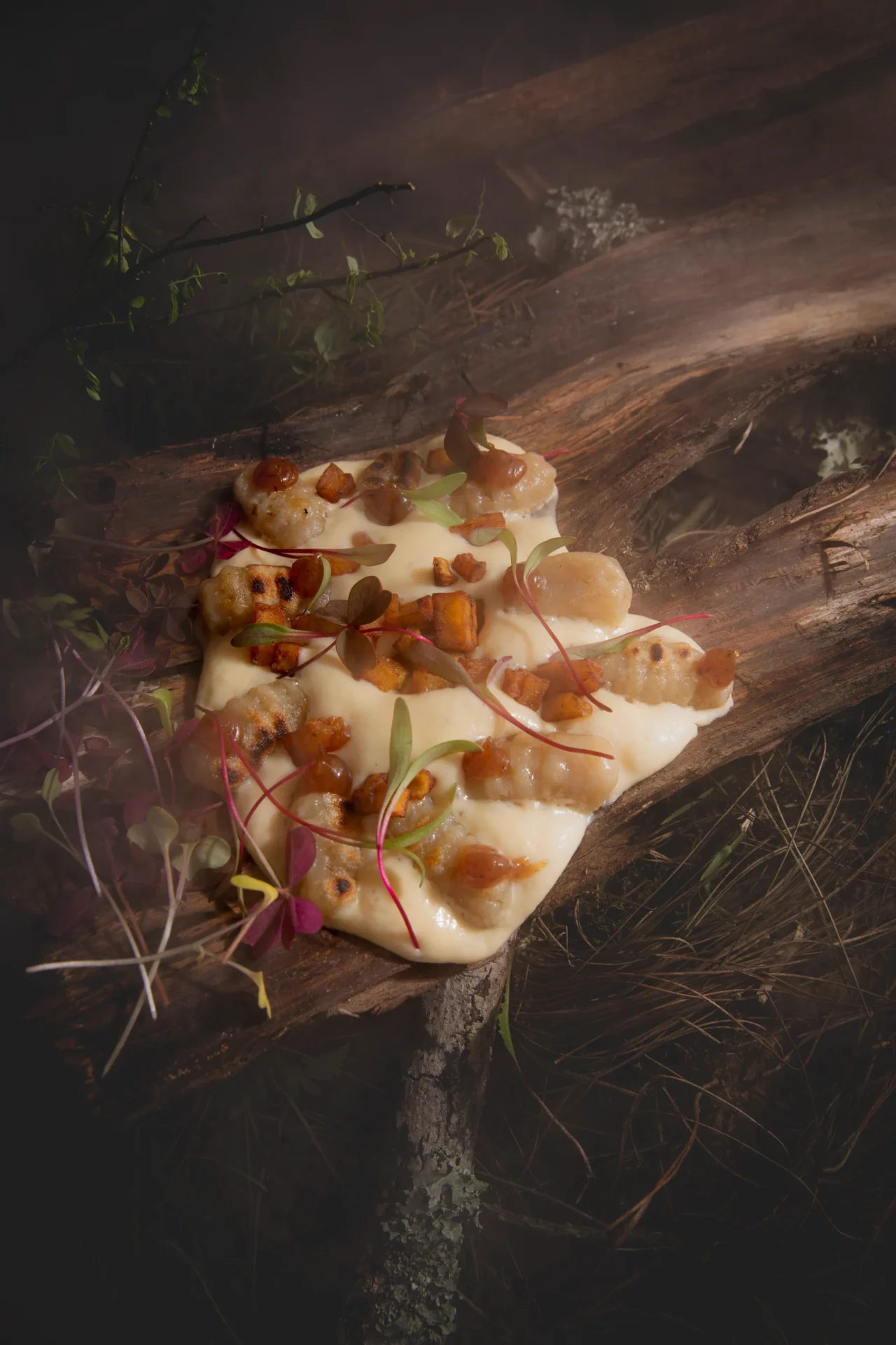 Fotografía gastronómica de gnocchi con salsa cremosa y microgreens del El Cielo Restaurant, único restaurante colombiano con estrella Michelin — Medellín