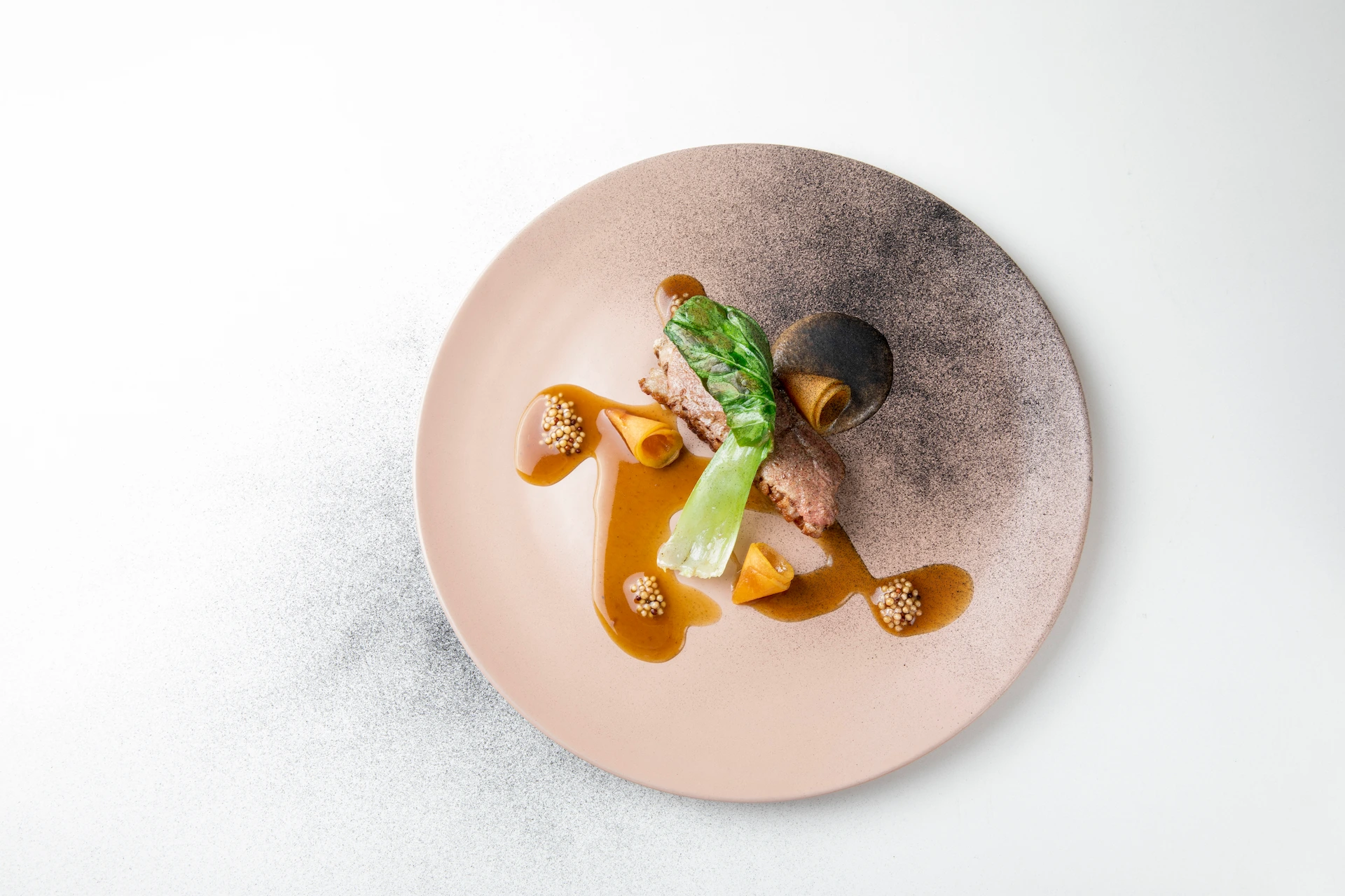 Fotografía gastronómica cenital de plato de pato con jus, mostaza y vegetales en alta cocina creativa — Jose Fonseca Medellín