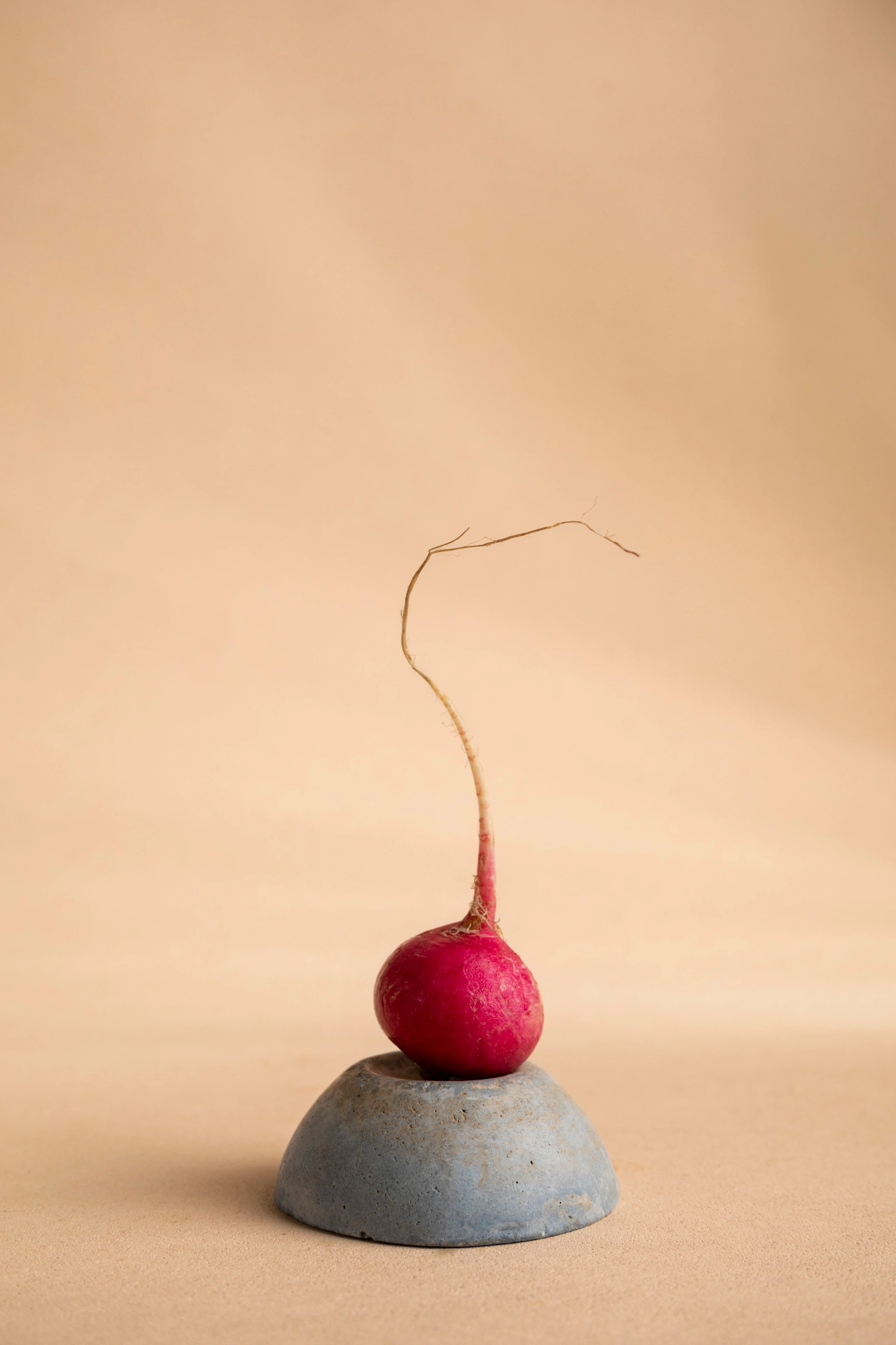 Fotografía gastronómica editorial de rábano rojo con raíz sobre base de concreto en fondo arena — Jose Fonseca Medellín