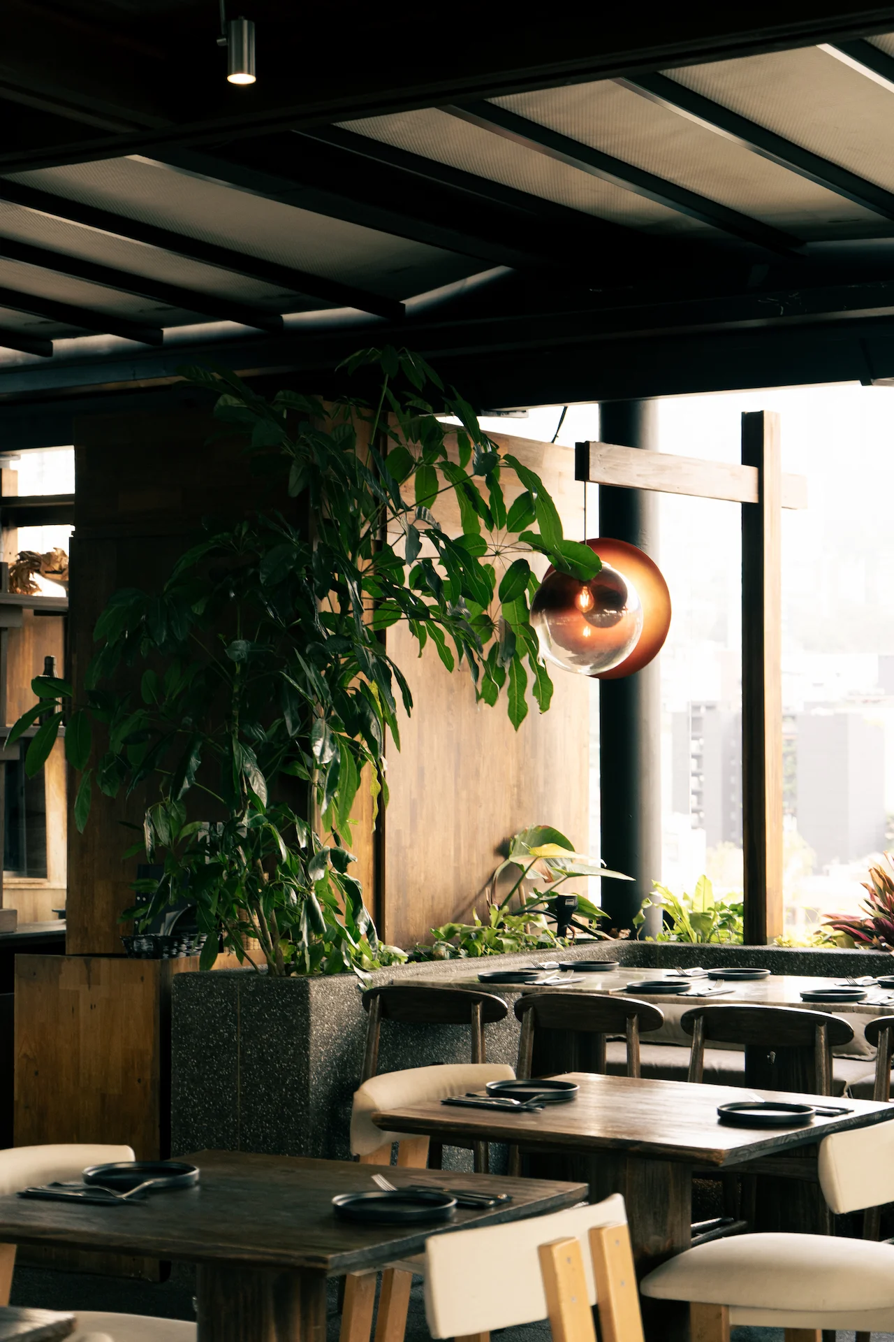 Fotografía gastronómica de salón de restaurante con vegetación interior, mesas oscuras y lámparas esféricas de cobre — Jose Fonseca Medellín