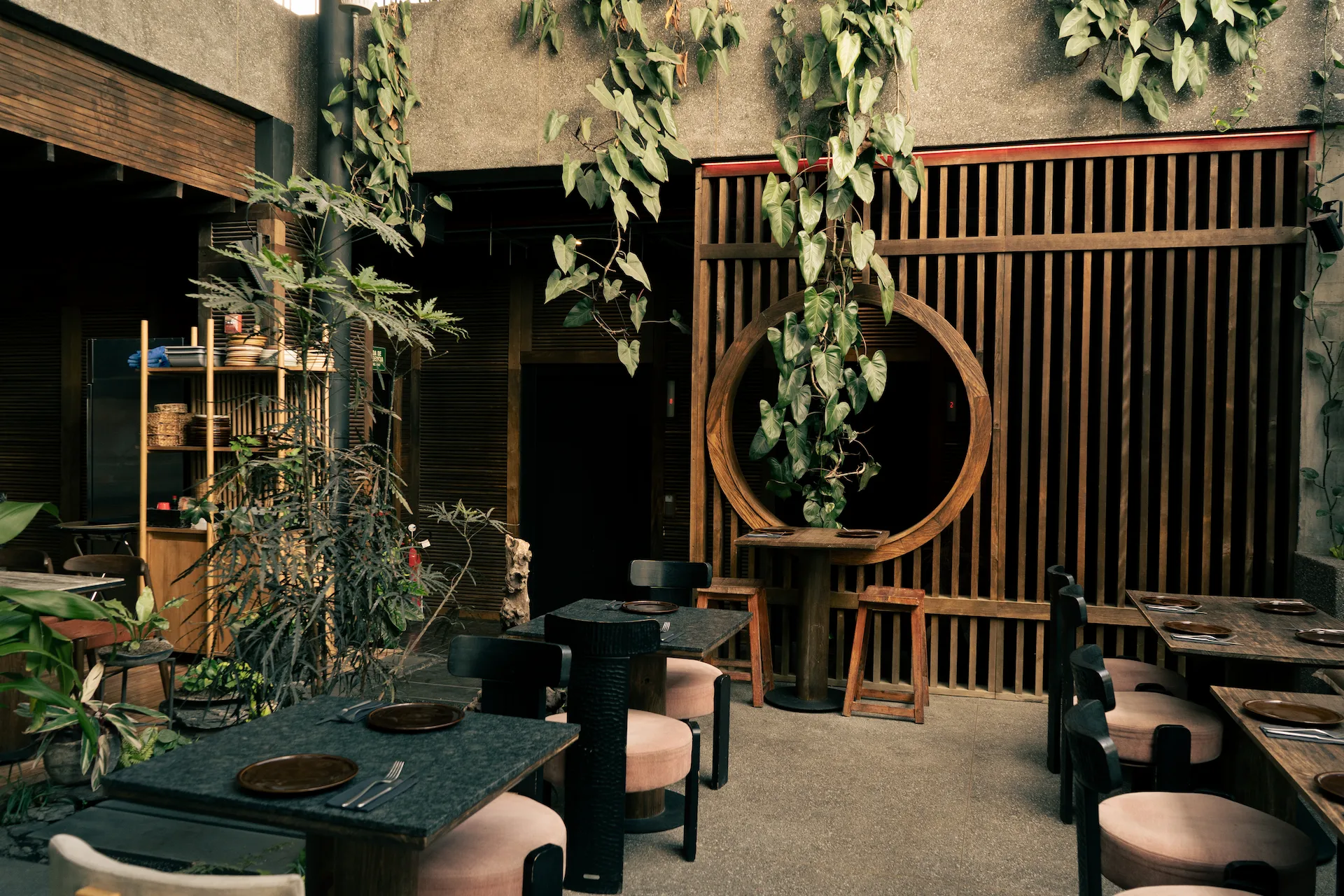Fotografía gastronómica de terraza con marco circular decorativo, plantas trepadoras y mesas de madera — Jose Fonseca Medellín